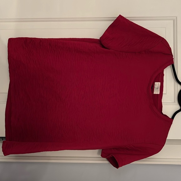 Anthropologie T.la satiny tshirt - Picture 2 of 4